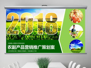 2018互聯(lián)網(wǎng)+農(nóng)副產(chǎn)品市場(chǎng)推廣企業(yè)營銷策劃案模板